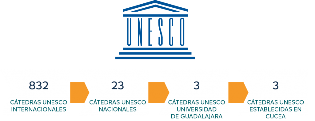 Cátedra Unesco. Derechos humanos y violencia: Gobierno y